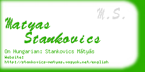 matyas stankovics business card