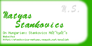 matyas stankovics business card